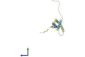 AlphaFold protein structure predicition of Mouse Recombinant Ms4a1 Protein, UniprotID P19437