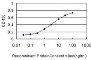 Detection limit for recombinant GST tagged SAE1 is approximately 0.