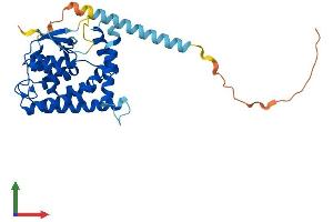AlphaFold protein structure predicition of Human Recombinant MTX3 Protein, UniprotID Q5HYI7