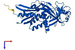AlphaFold protein structure predicition of Human Recombinant DDO Protein, UniprotID Q99489