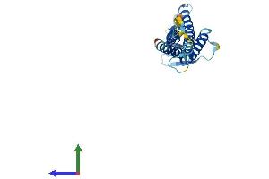 AlphaFold protein structure predicition of Human Recombinant CLDN1 Protein, UniprotID O95832