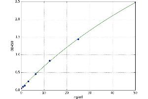 Claudin 2 (CLDN2) ELISA Kit