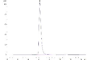 The purity of Cynomolgus/Rhesus macaque CD27 is greater than 95 % as determined by SEC-HPLC.