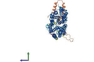 AlphaFold protein structure predicition of Mouse Recombinant Slc43a1 Protein, UniprotID Q8BSM7