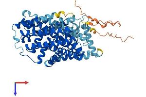 AlphaFold protein structure predicition of Human Recombinant SLC7A7 Protein, UniprotID Q9UM01