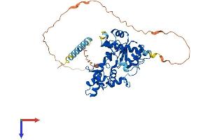 AlphaFold protein structure predicition of Mouse Recombinant Chst8 Protein, UniprotID Q8BQ86