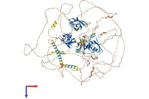 AlphaFold protein structure predicition of Mouse Recombinant Pard3b Protein, UniprotID Q9CSB4