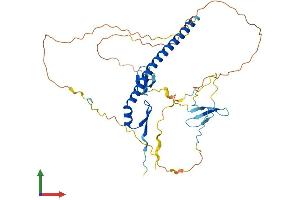 AlphaFold protein structure predicition of Human Recombinant WBP4 Protein, UniprotID O75554