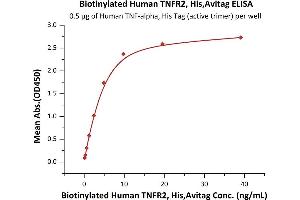 Immobilized Human , His Tag (active trimer) (MALS verified) (ABIN4949148,ABIN4949149) at 5 μg/mL (100 μL/well) can bind Biotinylated Human TNFR2, His,Avitag™ (ABIN6973283) with a linear range of 0.