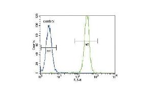 SD2 Antibody (ABIN391545 and ABIN2841494) flow cytometric analysis of Hela cells (right histogram) compared to a negative control cell (left histogram).