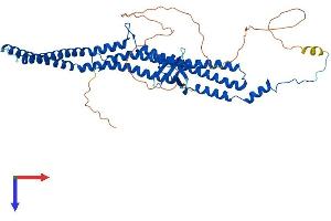 AlphaFold protein structure predicition of Human Recombinant PACSIN2 Protein, UniprotID Q9UNF0