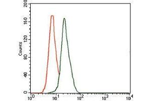 Flow cytometric analysis of HeLa cells using DLL4 mouse mAb (green) and negative control (red).