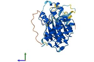 AlphaFold protein structure predicition of Human Recombinant CDK20 Protein, UniprotID Q8IZL9