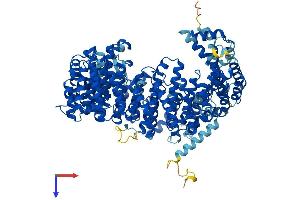 AlphaFold protein structure predicition of Human Recombinant XPO1 Protein, UniprotID O14980