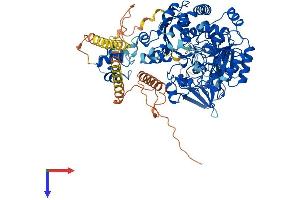 AlphaFold protein structure predicition of Mouse Recombinant Mgat5b Protein, UniprotID Q765H6