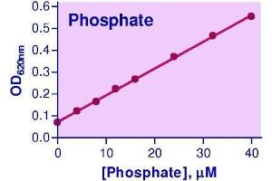 Biochemical Assay (BCA) image for Malachite Green Phosphate Assay Kit (ABIN1000334) (Malachite Green Phosphate Assay Kit)
