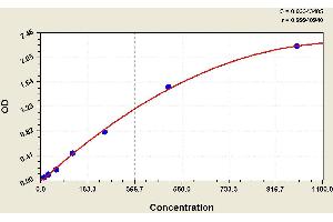 ELISA image for Calcitonin-Related Polypeptide alpha (CALCA) ELISA Kit (ABIN1113889) (CGRP Kit ELISA)