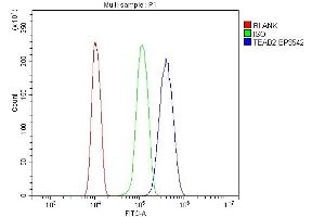 Flow Cytometry analysis of Hela cells using anti- ETF/TEAD2 antibody (ABIN7599879).