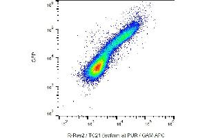 Flow cytometry analysis (intracellular staining) of R-Ras2/TC21 in HEK-293 R-Ras2-GFP transfectants using monoclonal antibody EM-50, purified / GAM-APC. (R-RAS2 anticorps)