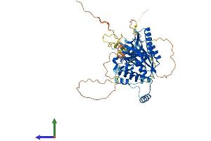 AlphaFold protein structure predicition of Human Recombinant M1AP Protein, UniprotID Q8TC57