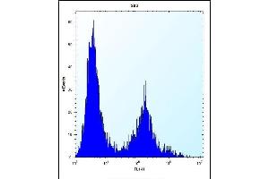 CLEC3B Antibody (Center) (ABIN656570 and ABIN2845832) flow cytometric analysis of 293 cells (right histogram) compared to a negative control cell (left histogram).