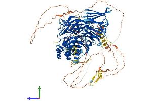 AlphaFold protein structure predicition of Mouse Recombinant Hira Protein, UniprotID Q61666