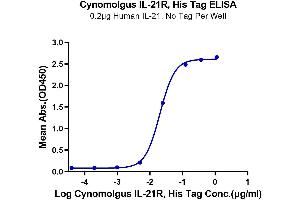 Immobilized Human IL-21 at 2 μg/mL (100 μL/well) on the plate.