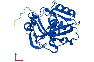 AlphaFold protein structure predicition of Human Recombinant IDI1 Protein, UniprotID Q13907