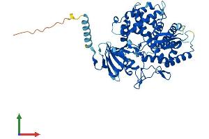 AlphaFold protein structure predicition of Human Recombinant CYP7B1 Protein, UniprotID O75881