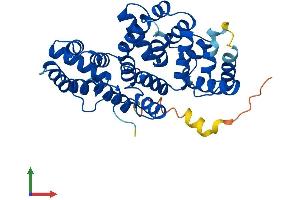 AlphaFold protein structure predicition of Mouse Recombinant Anxa9 Protein, UniprotID Q9JHQ0