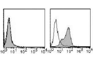 Flow Cytometry (FACS) image for anti-Poliovirus Receptor (PVR) antibody (PE) (ABIN1105910) (Poliovirus Receptor anticorps  (PE))