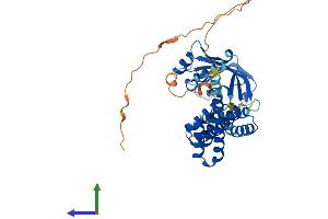 AlphaFold protein structure predicition of Human Recombinant AIPL1 Protein, UniprotID Q9NZN9
