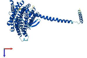 AlphaFold protein structure predicition of Mouse Recombinant Mtnd5 Protein, UniprotID P03921