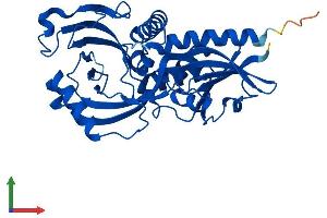 AlphaFold protein structure predicition of Mouse Recombinant Ddo Protein, UniprotID Q922Z0