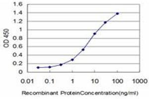 Detection limit for recombinant GST tagged DDX54 is approximately 0. (DDX54 anticorps  (AA 778-881))