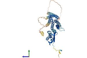 AlphaFold protein structure predicition of Human Recombinant SLC30A4 Protein, UniprotID O14863