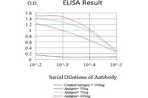 Black line: Control Antigen (100 ng),Purple line: Antigen (10 ng), Blue line: Antigen (50 ng), Red line:Antigen (100 ng) (EPAS1 anticorps  (AA 680-870))