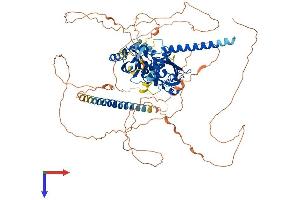 AlphaFold protein structure predicition of Mouse Recombinant Npas2 Protein, UniprotID P97460