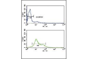 MDH1 Antibody (C-term) (ABIN389447 and ABIN2839517) flow cytometry analysis of HL-60 cells (bottom histogram) compared to a negative control cell (top histogram).