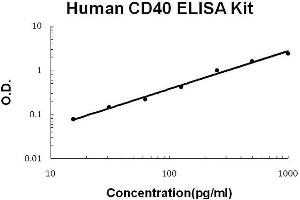 Human CD40/TNFRSF5 PicoKine ELISA Kit standard curve (CD40 Kit ELISA)