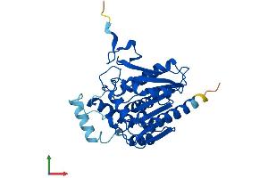 AlphaFold protein structure predicition of Mouse Recombinant Mgll Protein, UniprotID O35678