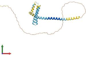 AlphaFold protein structure predicition of Mouse Recombinant Reep2 Protein, UniprotID Q8VCD6