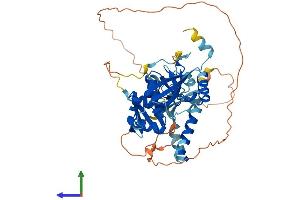 AlphaFold protein structure predicition of Mouse Recombinant Tsen2 Protein, UniprotID Q6P7W5