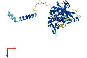 AlphaFold protein structure predicition of Mouse Recombinant Parp16 Protein, UniprotID Q7TMM8