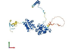 AlphaFold protein structure predicition of Human Recombinant BRF2 Protein, UniprotID Q9HAW0