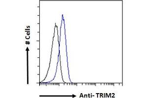 ABIN184974 Flow cytometric analysis of paraformaldehyde fixed Jurkat cells (blue line), permeabilized with 0. (TRIM2 anticorps  (C-Term))