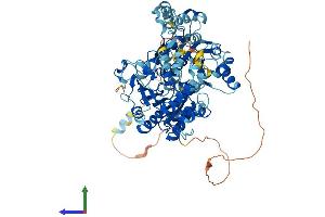 AlphaFold protein structure predicition of Mouse Recombinant Rad54l Protein, UniprotID P70270