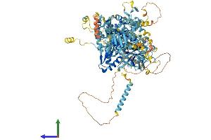 AlphaFold protein structure predicition of Human Recombinant EFL1 Protein, UniprotID Q7Z2Z2