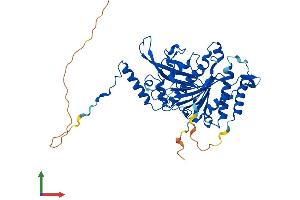 AlphaFold protein structure predicition of Human Recombinant MRPS30 Protein, UniprotID Q9NP92