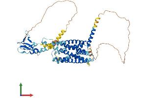 AlphaFold protein structure predicition of Human Recombinant GLP2R Protein, UniprotID O95838